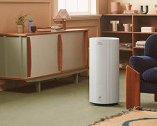 An Airmega in a living room.